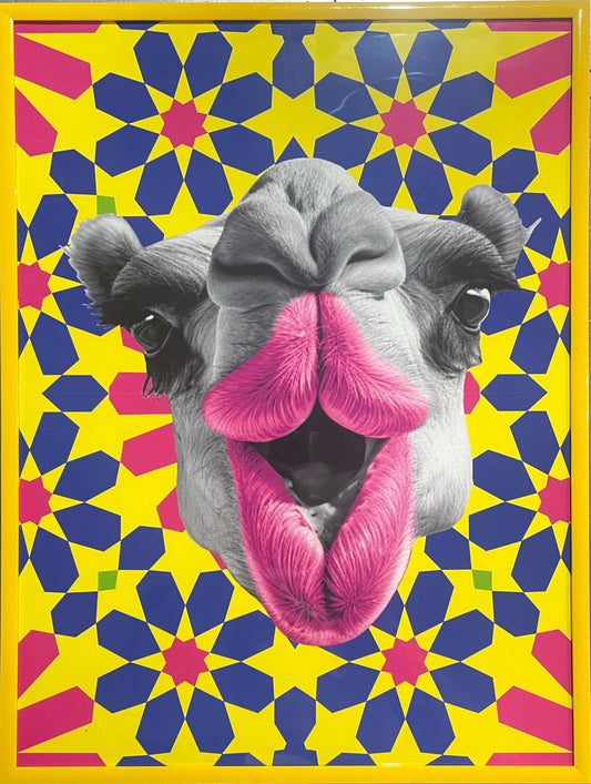 Camel kiss